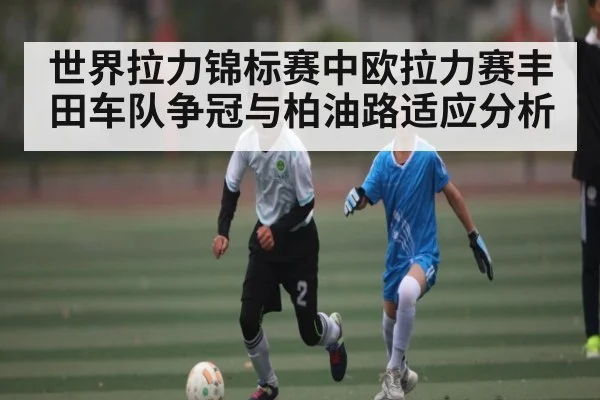 世界拉力锦标赛中欧拉力赛丰田车队争冠与柏油路适应分析 - kaiyun